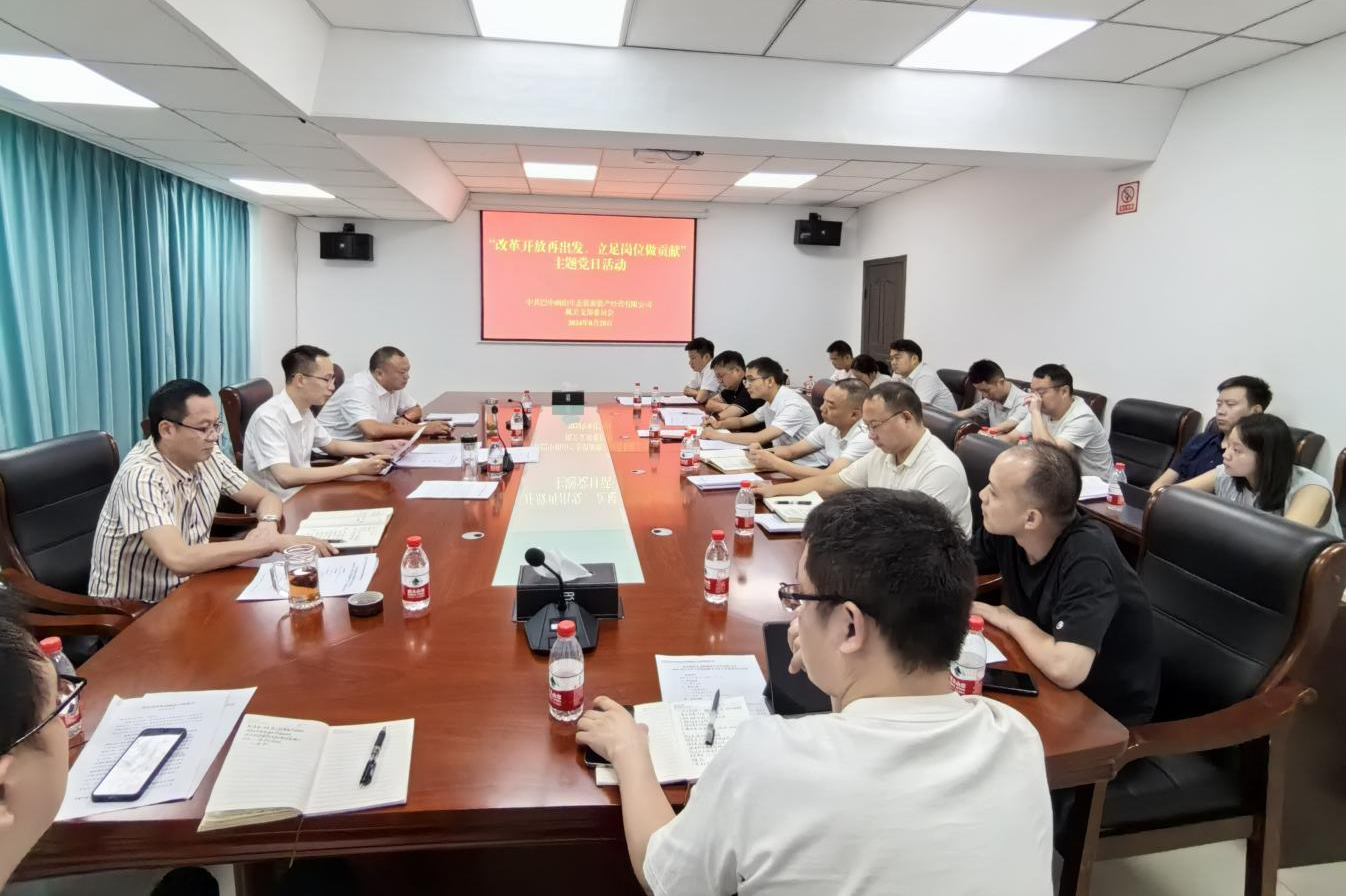 巴中兩山公司開展“改革開放再出發(fā)、立足崗位做貢獻(xiàn)”主題黨日活動
